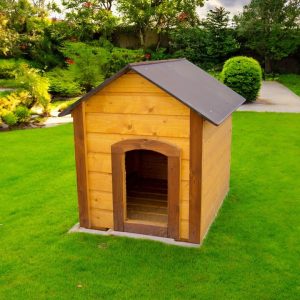 import placeholder for 4920