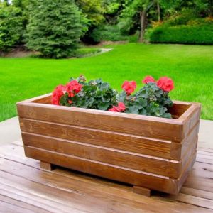 import placeholder for 4950