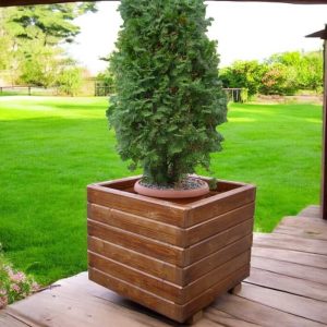 import placeholder for 4953