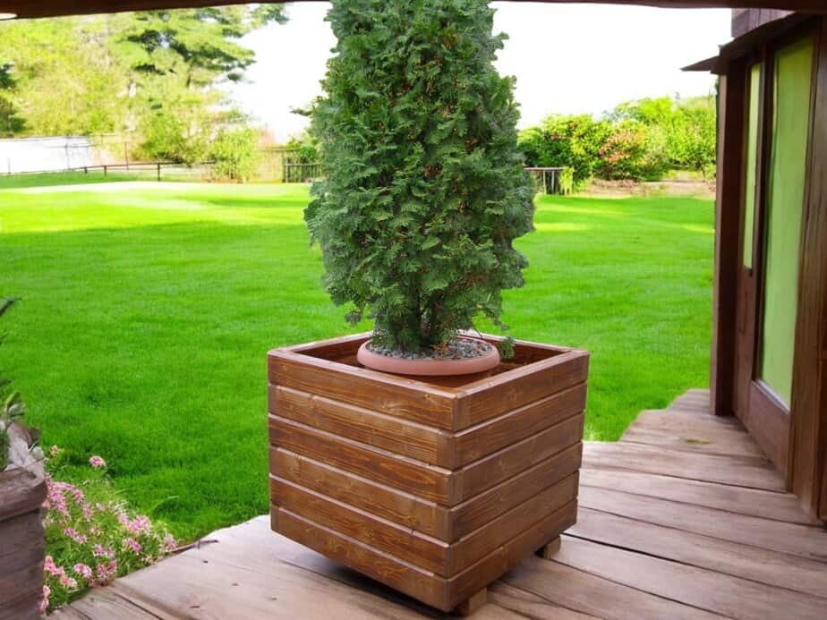 import placeholder for 4953